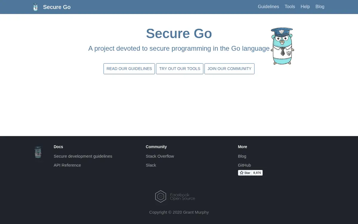 Homepage of gosec