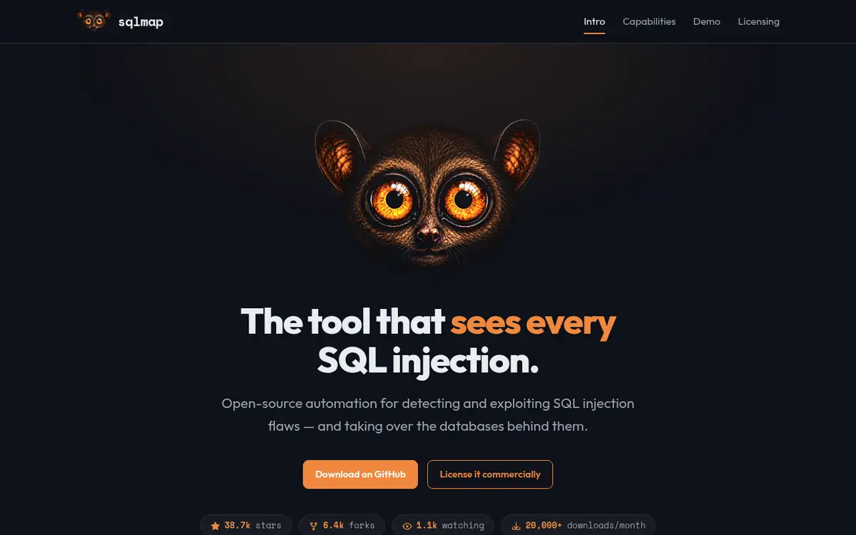 Homepage of sqlmap